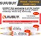 Wood Burning Pen Kit, 2 PCS Scorch Pens Equipped with 2 PCS Replacement Oblique Tip, Chemical Wood Burner Set, Suitable for Beginners of DIY Wood Burning Projects